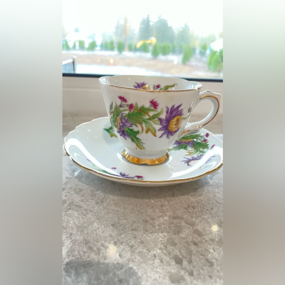 Vintage Trimont Cup and Saucer